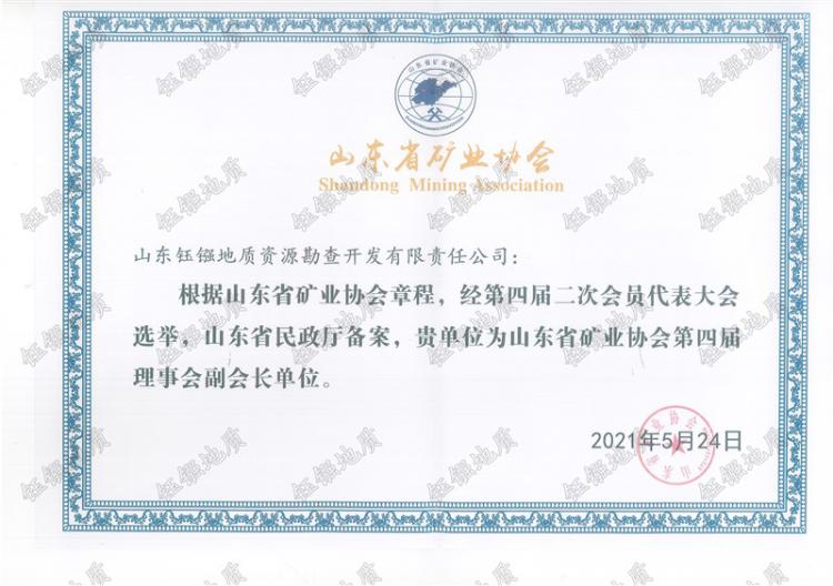 山東省礦業(yè)協(xié)會副會長
